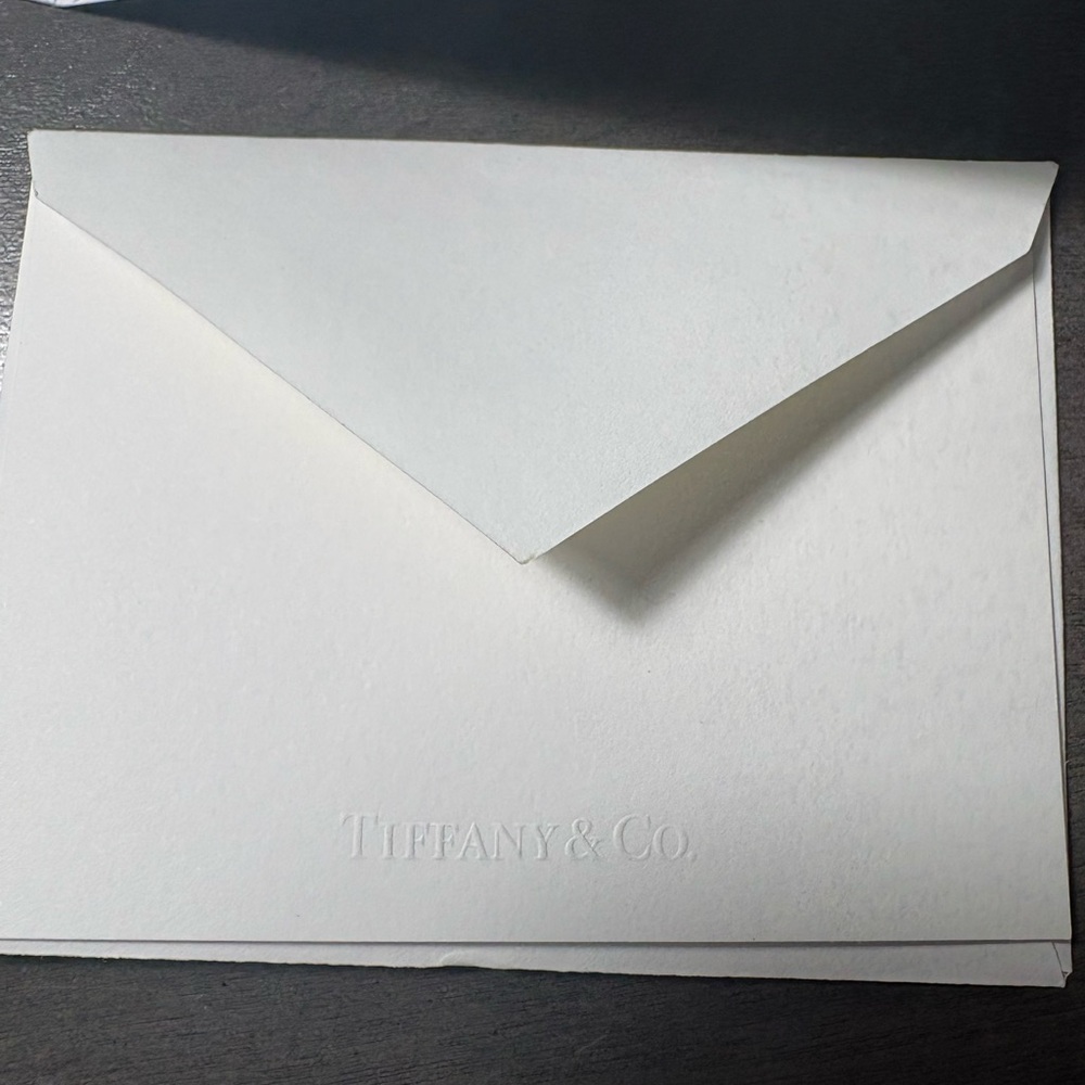 Tiffany & Co. Turquoise Bag with White Ribbon - Picture 4 of 5